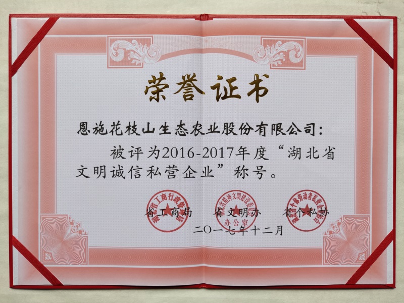 2.1湖北省文明誠(chéng)信私營(yíng)企業(yè).jpg